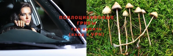 ешки Алексеевка