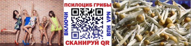 Псилоцибиновые грибы мухоморы  Николаевск-на-Амуре 